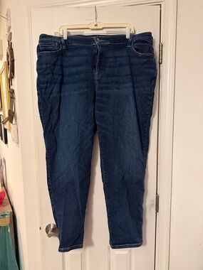 Lane Bryant Dark Blue Stretch Jeggings